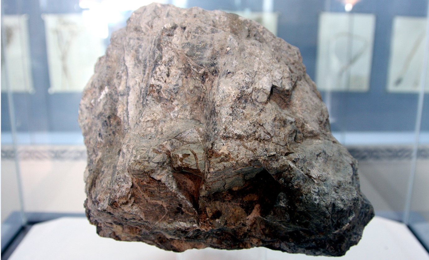 礦石、煤炭檢測(cè)